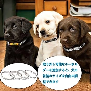 Amazon | Z23Z 犬首輪 チタン鋼 レーザー彫刻 迷子札 子犬 小型